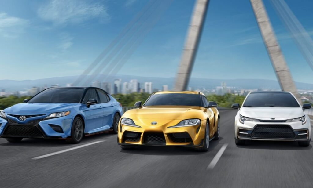 Diverse Lineup For Every Need