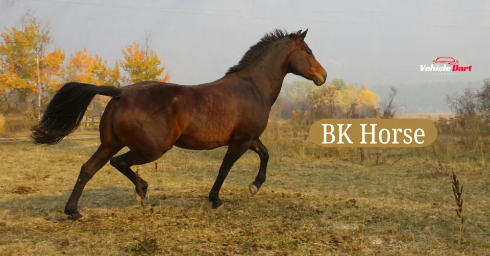 bk horse